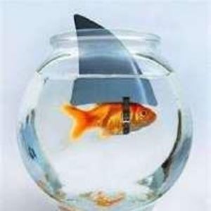 Meet your Posher, Donny